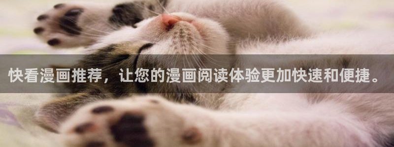 漫蛙app下载官网