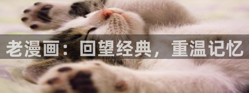漫蛙漫画免费登录页面在线阅读下载安装不了