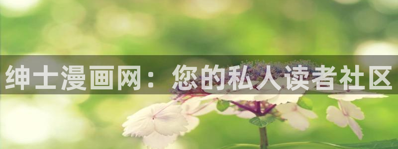漫蛙三
