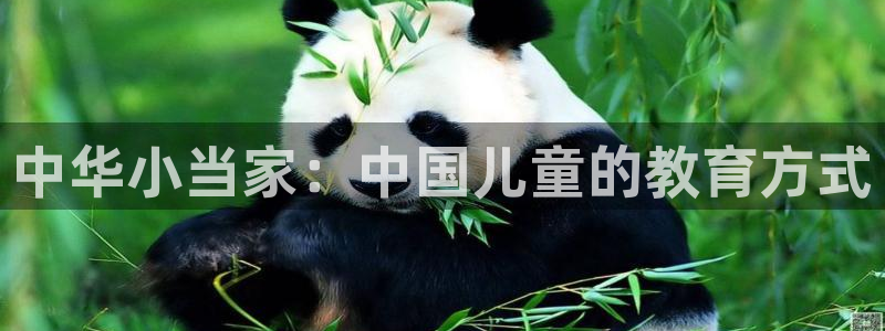 漫蛙拷贝
