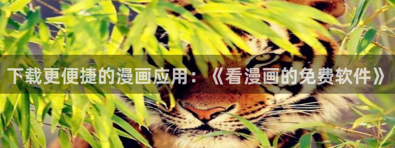 漫蛙野画集
