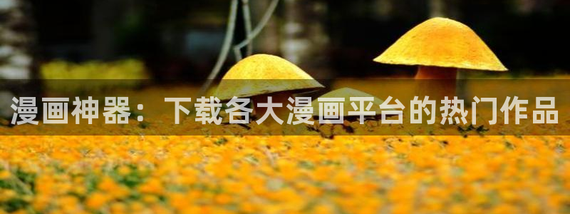 漫蛙看不了