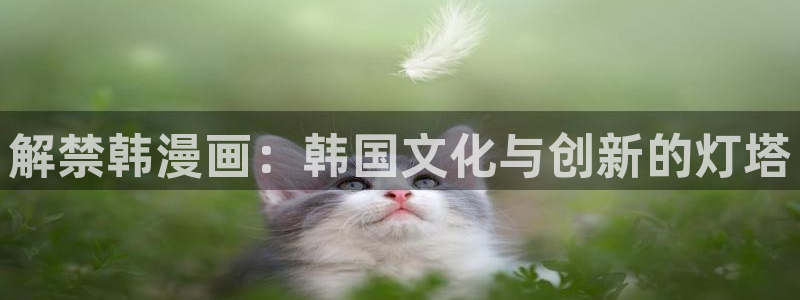 漫蛙com,下载
