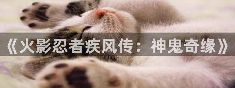 漫蛙免费使用
