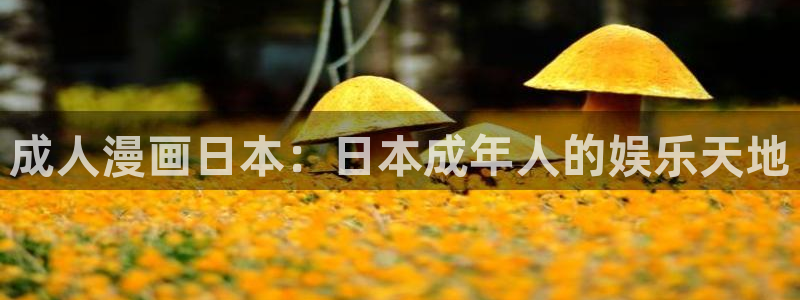 漫蛙官方正版