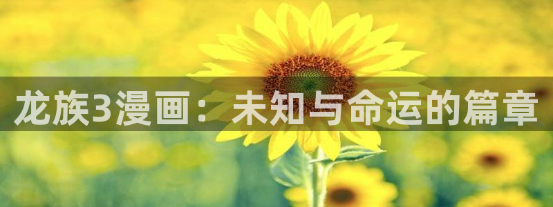 漫蛙入口官方网站
