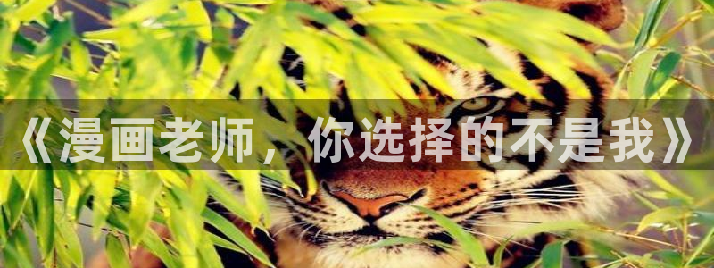 漫蛙2正版app在哪下载